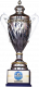 Honduran cup winner