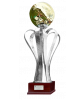 Italian Supercoppa winner (Under 17)