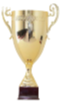 Hungarian league cup winner
