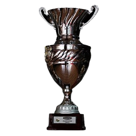 Bulgarian Super Cup winner