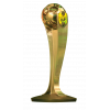 Nedbank Cup Winner