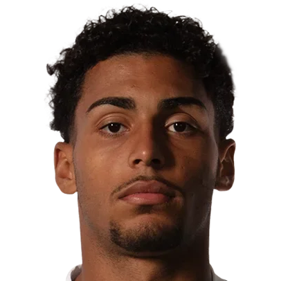 Luighi Hanri Sousa Santos