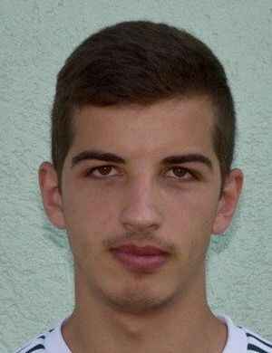 srdjan mrzic
