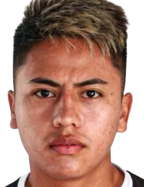Alexander Lecaros Aragón