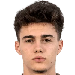 Nikola Mituljikic
