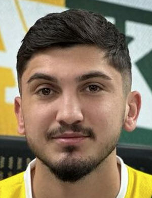 M. Sarı