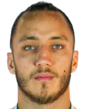 Metehan Mert