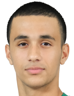 Ahmet Lütfü Kara