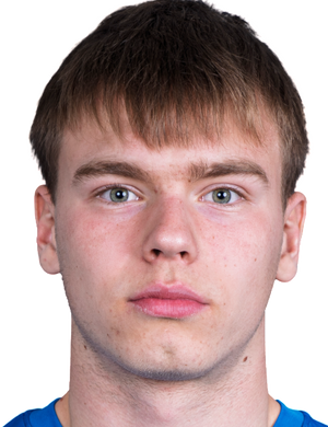 Krists plavins