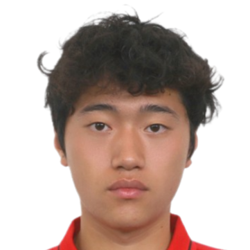 Wu Chenfei