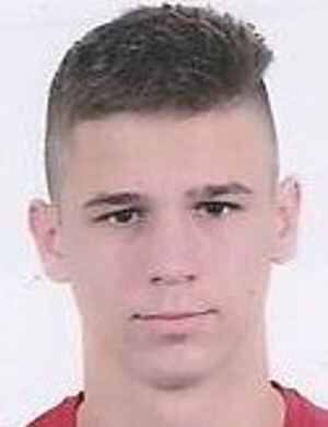 vuk tesic