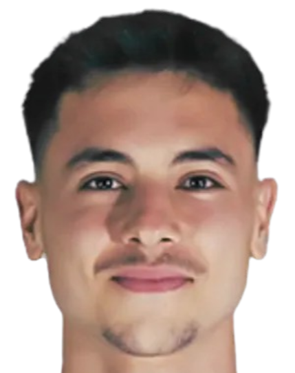 H. Mevlütoğlu