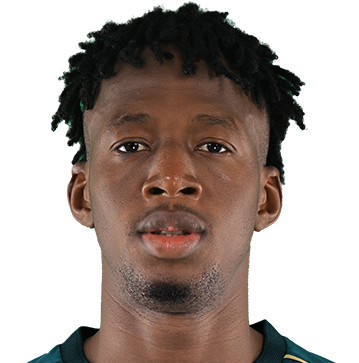 Drissa Coulibaly