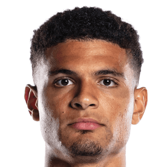 Miles Robinson