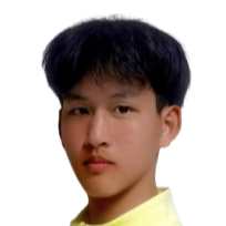 Lei Jiawei