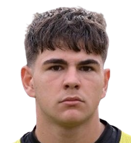 Manuel nardozi