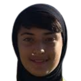 Mohadeseh Zolfi