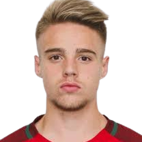 Rui Pedro Fernandes Ferreira