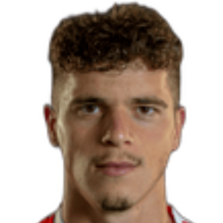 Pedro Silva Rosas