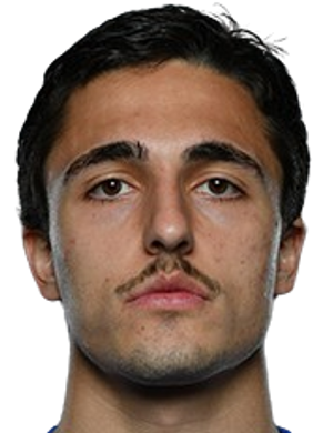 Nikoloz Tskhovrebashvili