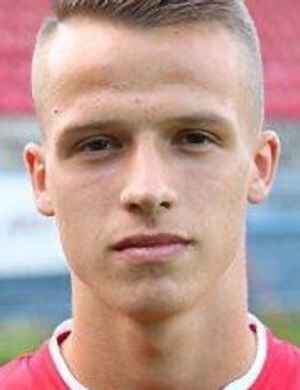 armin besagic