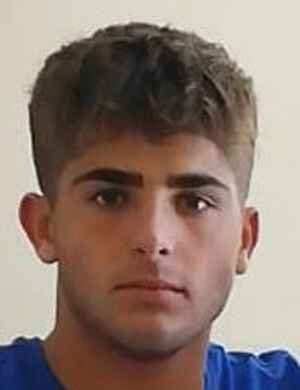 Manuele De Min