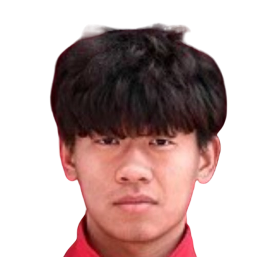 Hu Yubo