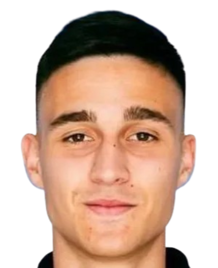 Luka Mikulic