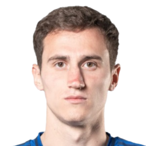Aleksander Mitrovic