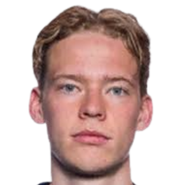 Vetle Auklend