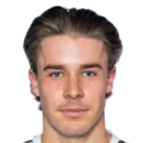 Jørgen Vedal Sjøl