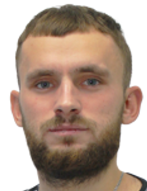Andrey Alshanik