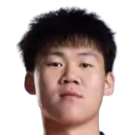 Wang Zicheng