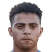 Hassan Mansour