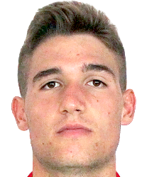 Michele Voltan