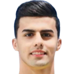 Ridha Abdulaziz