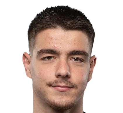 muhamed sahinovic