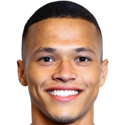 Darlan Pereira Mendes