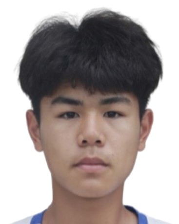 Li Tianyou