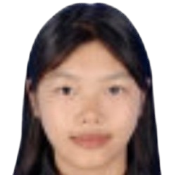 He Feifei