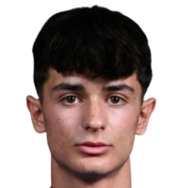 Davide Pavesi