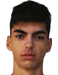 aleks stojakovic