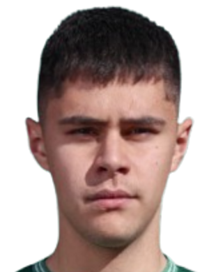 Martin gancev