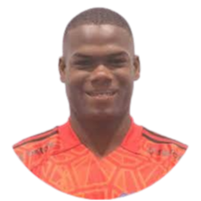 Félix Mina