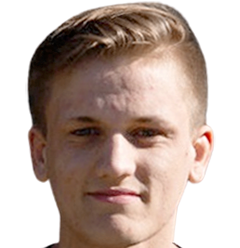 Bram van Driel