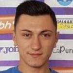 Elvis Bibić