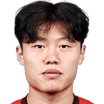 Wang Yifan