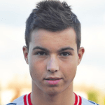 Damir Bartulovič