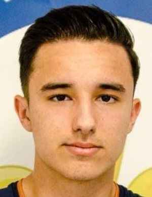 dino suljic