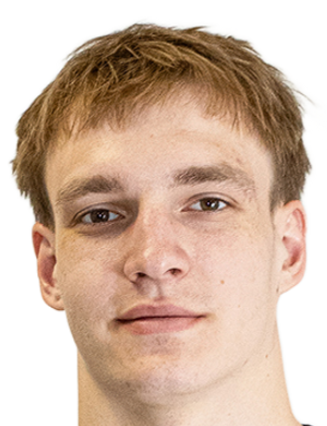 vladislav krolik